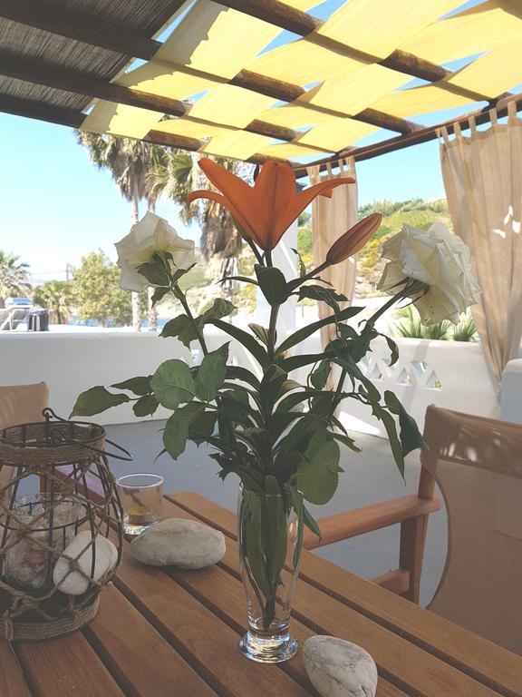 Theo'S Vacation Home Skyros Exteriör bild